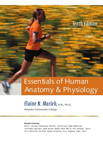 Essentials Of Human Anatomy Physiology 10 Ed Elaine Nicpon Marieb