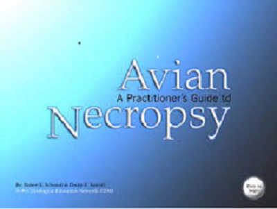 A Practitioners Guide To Avian Necropsy Cd Rom Robert E Schmidt