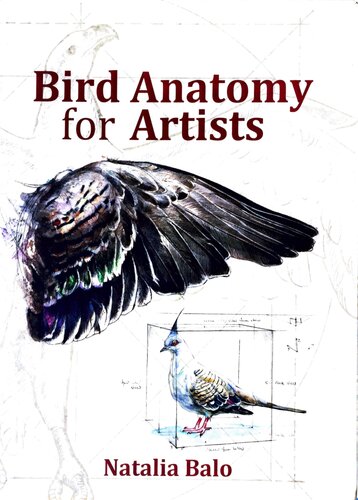 Bird Anatomy For Artists Comprehensive Guide To Drawing Birds For Artists And Bird Lovers Natalia Balo