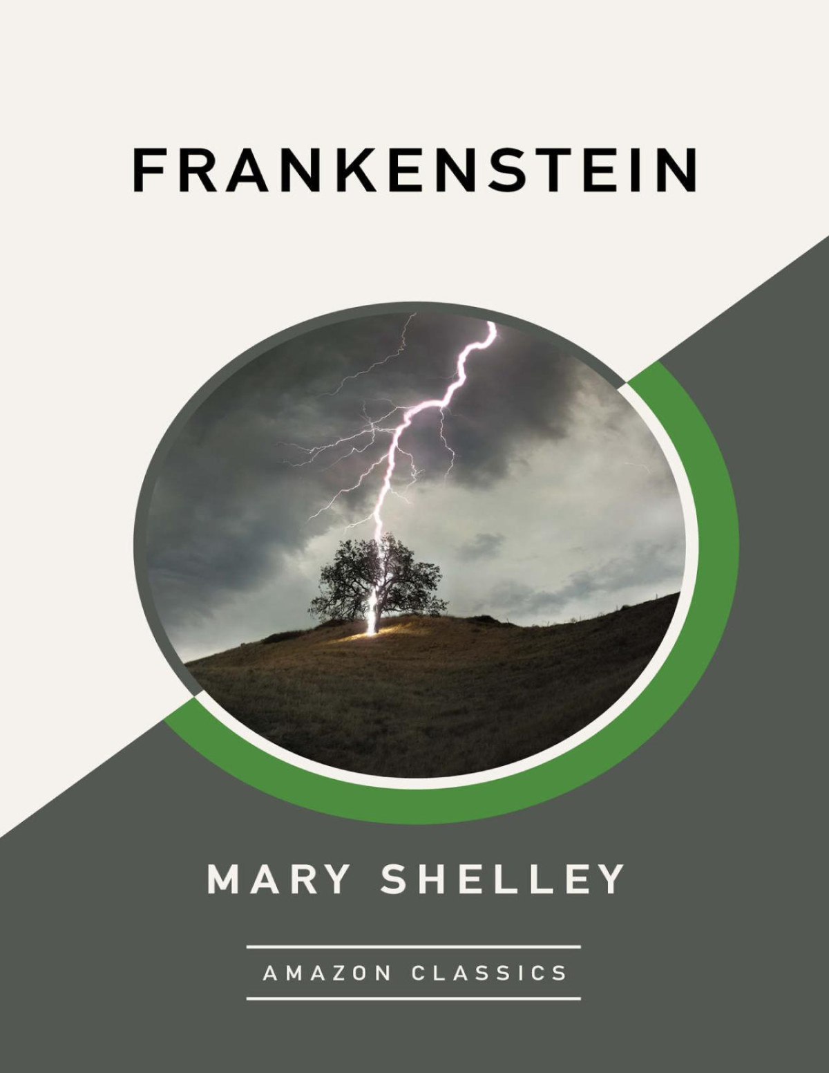 Frankenstein Mary Shelley