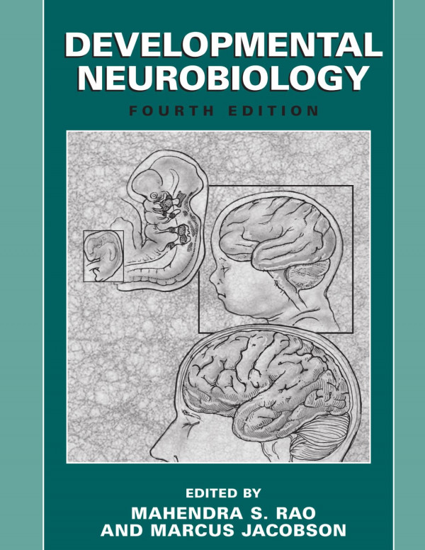 Developmental Neurobiology 4th Edition Mahendra S Rao Marcus Jacobson