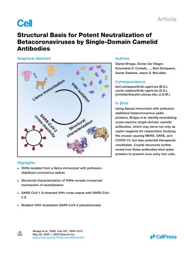 Structural Basis For Potent Neutralization Of Betacoronaviruses By Singledomain Camelid Antibodies Daniel Wrapp
