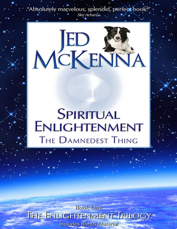 Spiritual Enlightenment The Damnedest Thing The Enlightenment Trilogy Book 1 Jed Mckenna