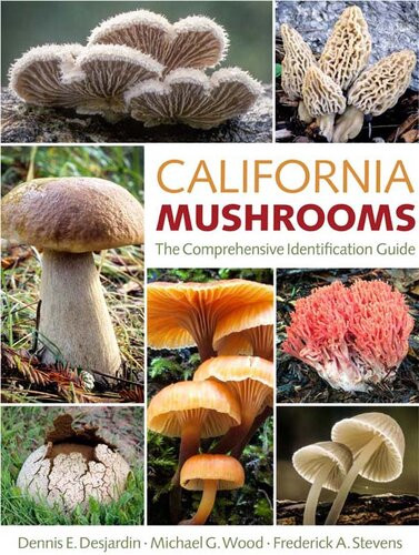 California Mushrooms The Comprehensive Identification Guide Dennis E Desjardin Michael G Wood Frederick A Stevens