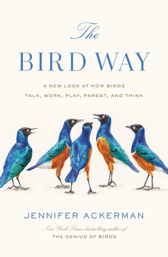The Bird Way A New Look At How Birds Talk Work Play Parent And Think 1st Edition Ackerman