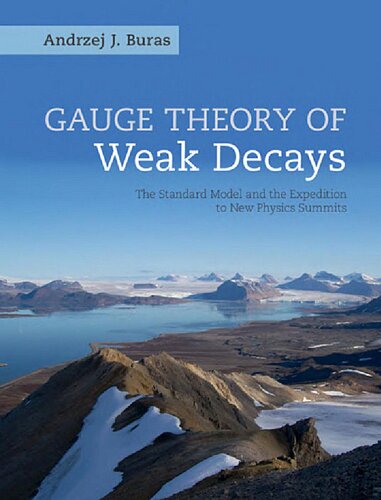 Gauge Theories Of Weak Decays Cambridge Monographs On Particle Physics Nuclear Physics An Andrzej Buras