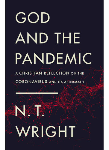 God And The Pandemic A Christian Reflection On The Coronavirus And Its Aftermath N T Wright