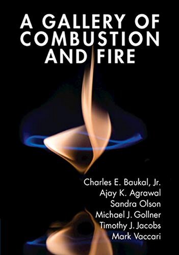 A Gallery Of Combustion And Fire Charles Baukal Jr