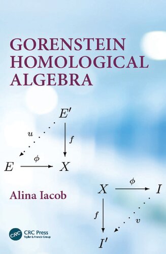 Gorenstein Homological Algebra 1st Edition Alina Iacob