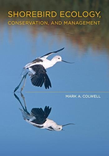 Shorebird Ecology Conservation And Management 1st Edition Dr Mark A Colwell