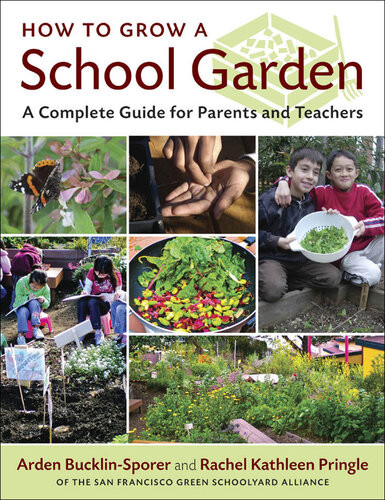 How To Grow A School Garden Arden Bucklinsporer