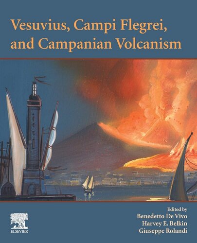 Vesuvius Campi Flegrei And Campanian Volcanism 1st Edition Benedetto De Vivo Editor