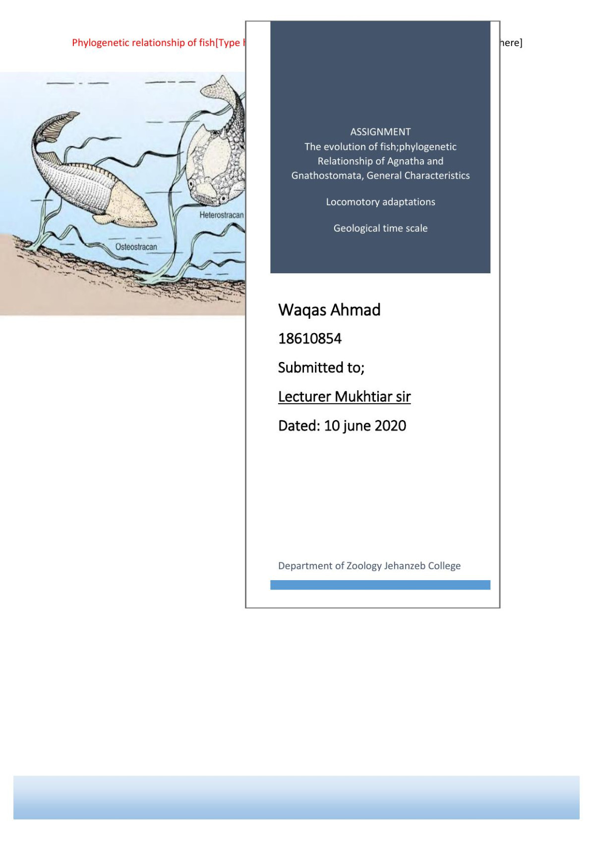 General Overview On Fishes 1st Edition Waqas Khan