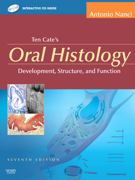 Ten Cates Oral Histology Antonio Nanci Phd Nanci Antonio