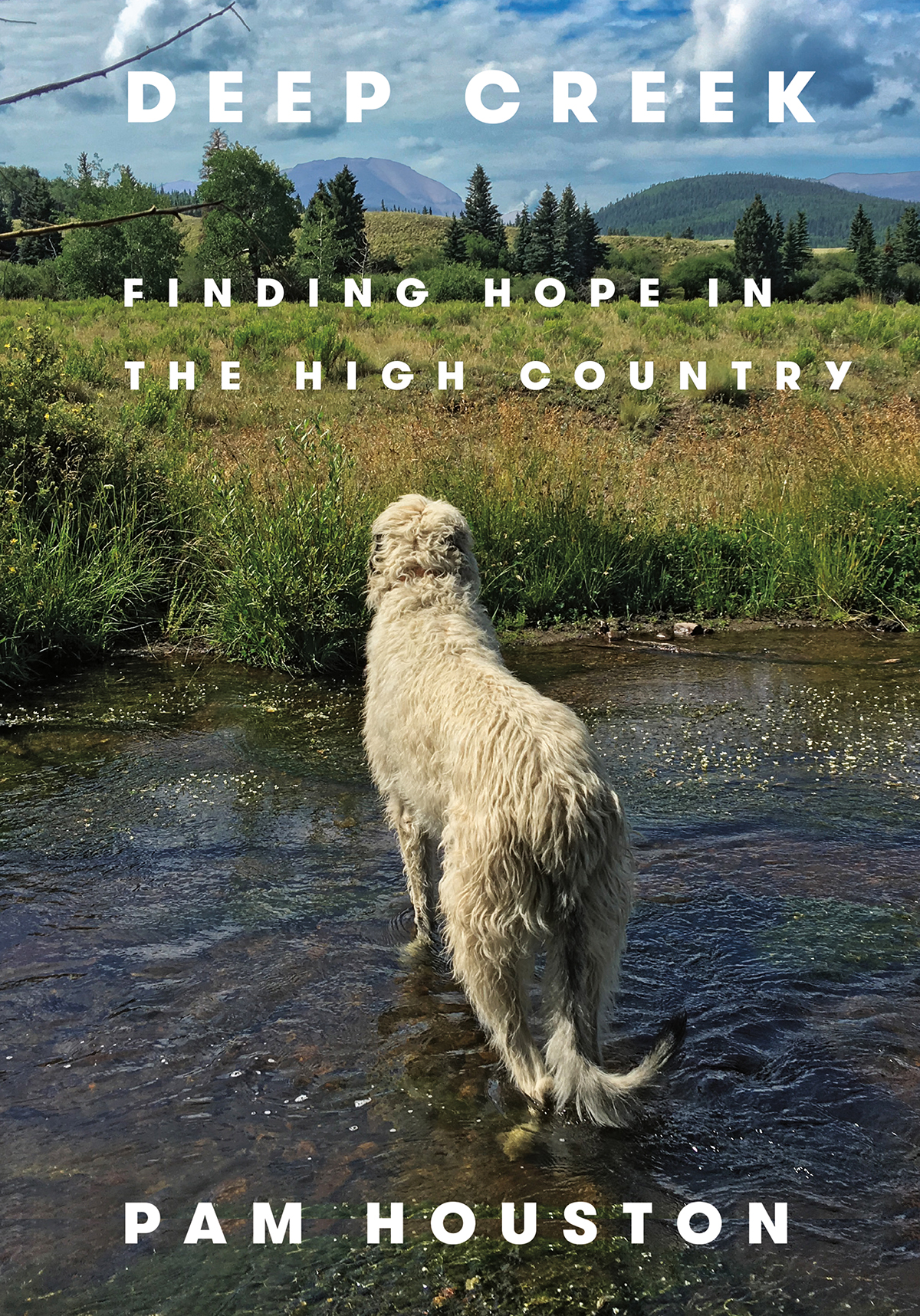 Deep Creek Finding Hope In The High Country Pam Houston