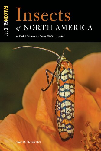 Insects Of North America David M Phillips