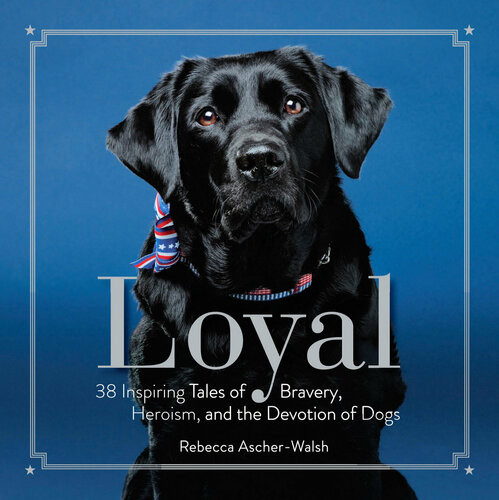 Loyal 38 Inspiring Tales Of Bravery Heroism And The Devotion Of Dogs Rebecca Ascherwalsh