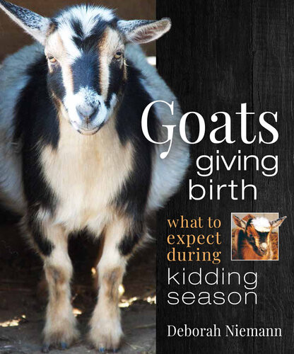 Goats Giving Birth Deborah Niemann