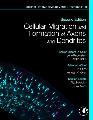 Cellular Migration And Formation Of Axons And Dendrites Comprehensive Developmental Neuroscience 2nd Edition John Rubenstein Editor