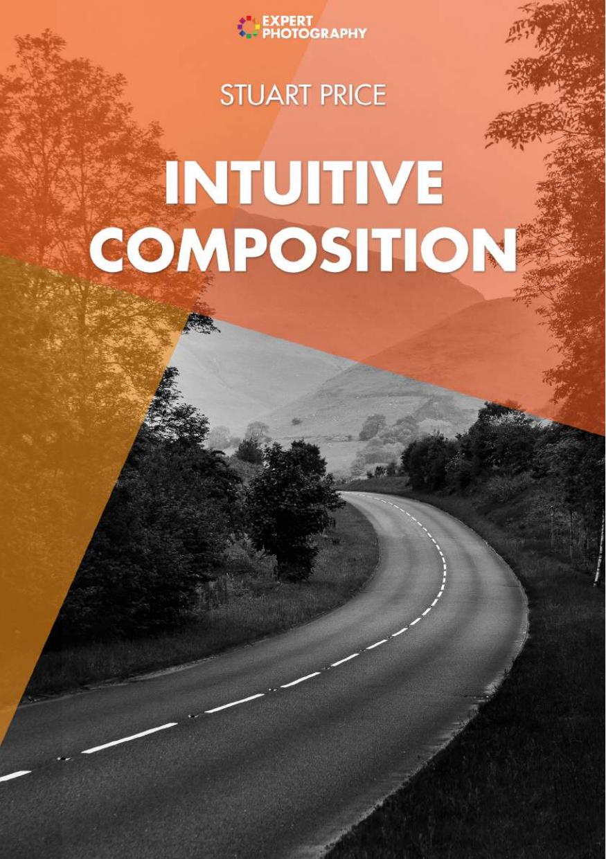 Intuitive Composition Stuart Price
