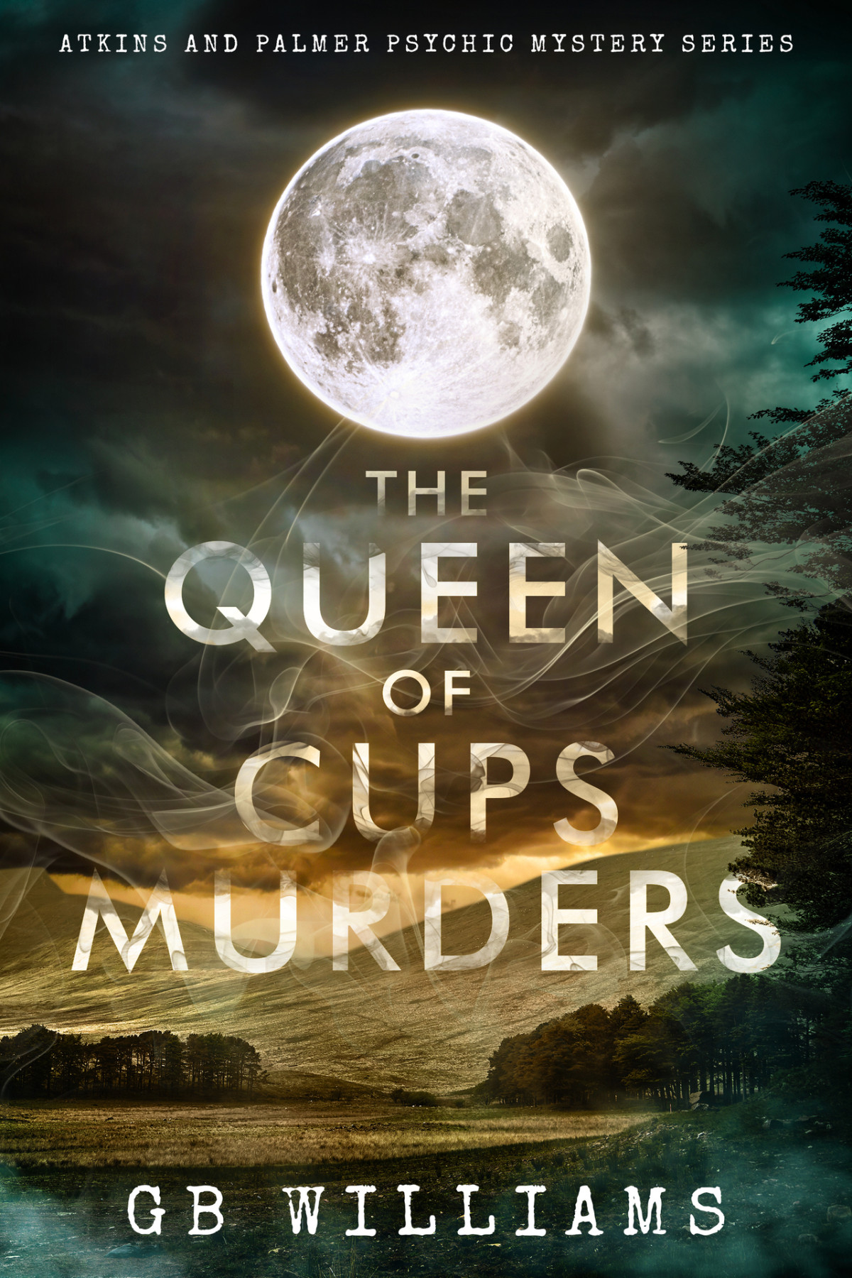 The Queen Of Cups Murders Atkins And Palmer Psychic Mystery 1 Gb Williams
