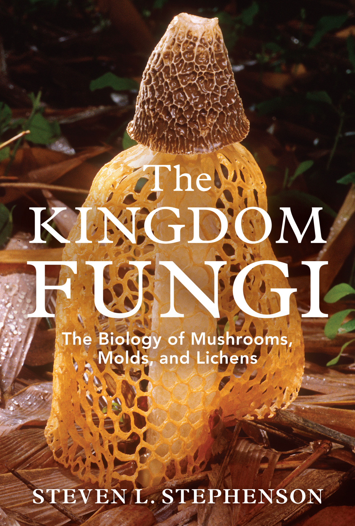 The Kingdom Fungi The Biology Of Mushrooms Molds And Lichens Steven L Stephenson