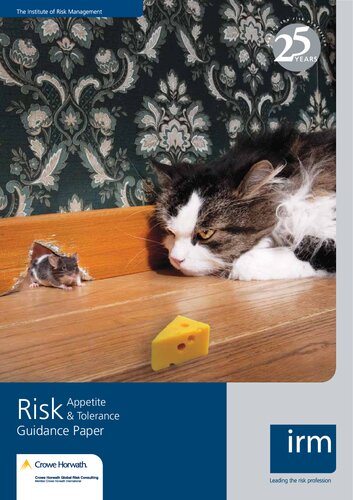 Risk Appetite Tolerance Guidance Paper Crowe Horwath Global Risk Consulting Group