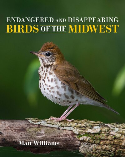 Endangered And Disappearing Birds Of The Midwest Matt Williams