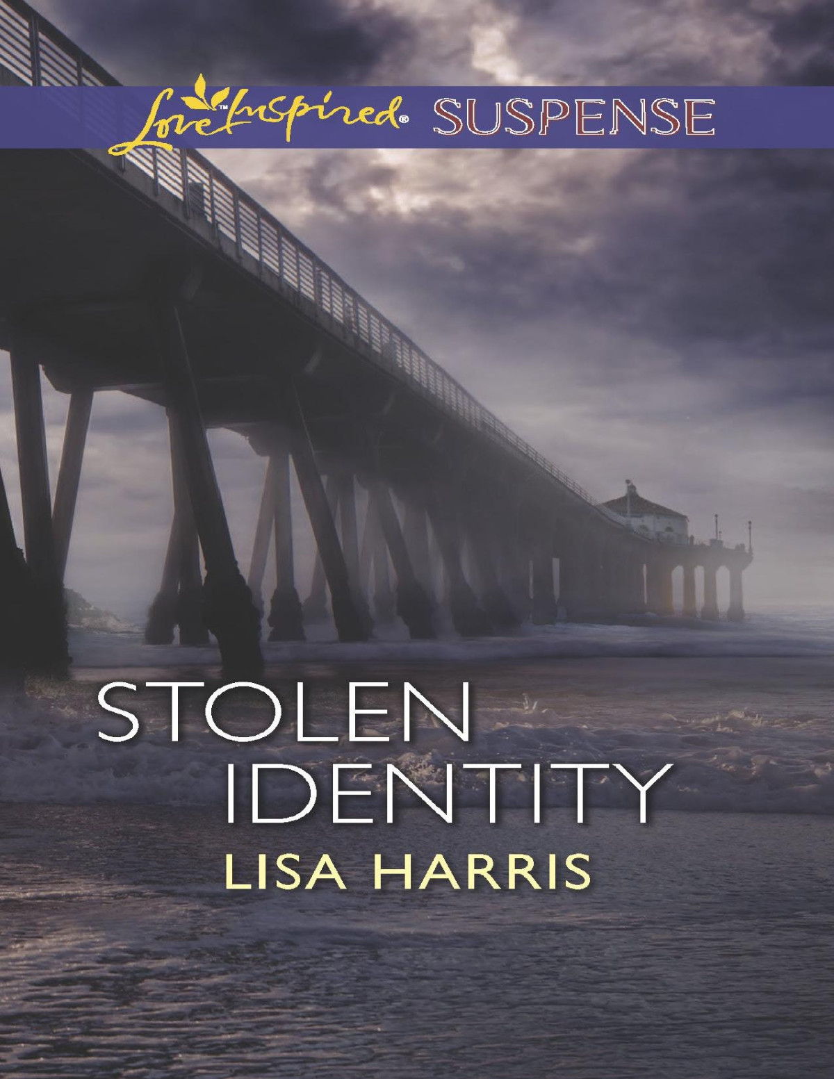 Stolen Identity Lisa Harris