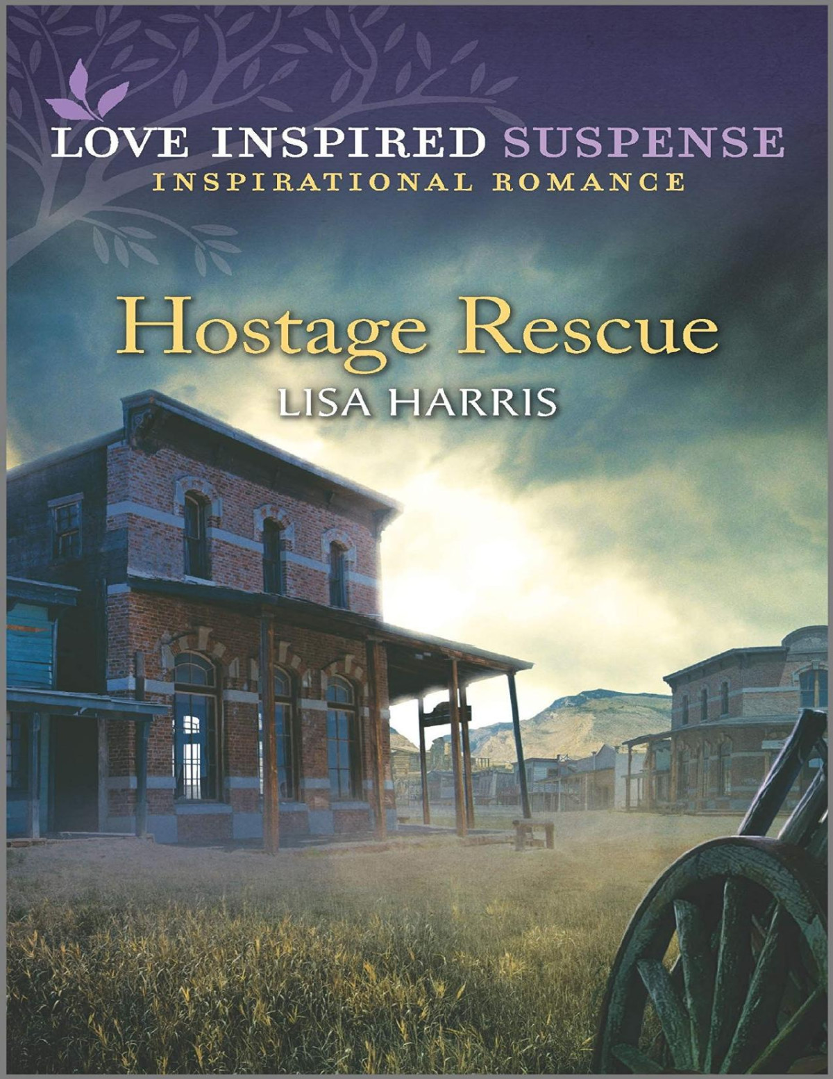 Hostage Rescue Lisa Harris