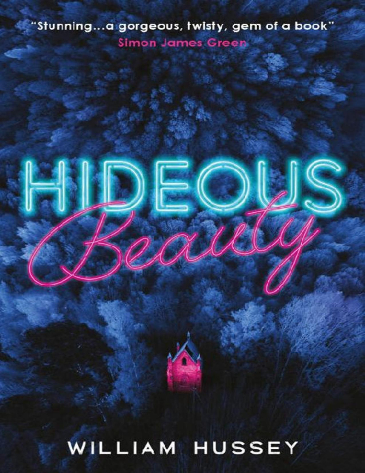 Hideous Beauty 1st Edition William Hussey