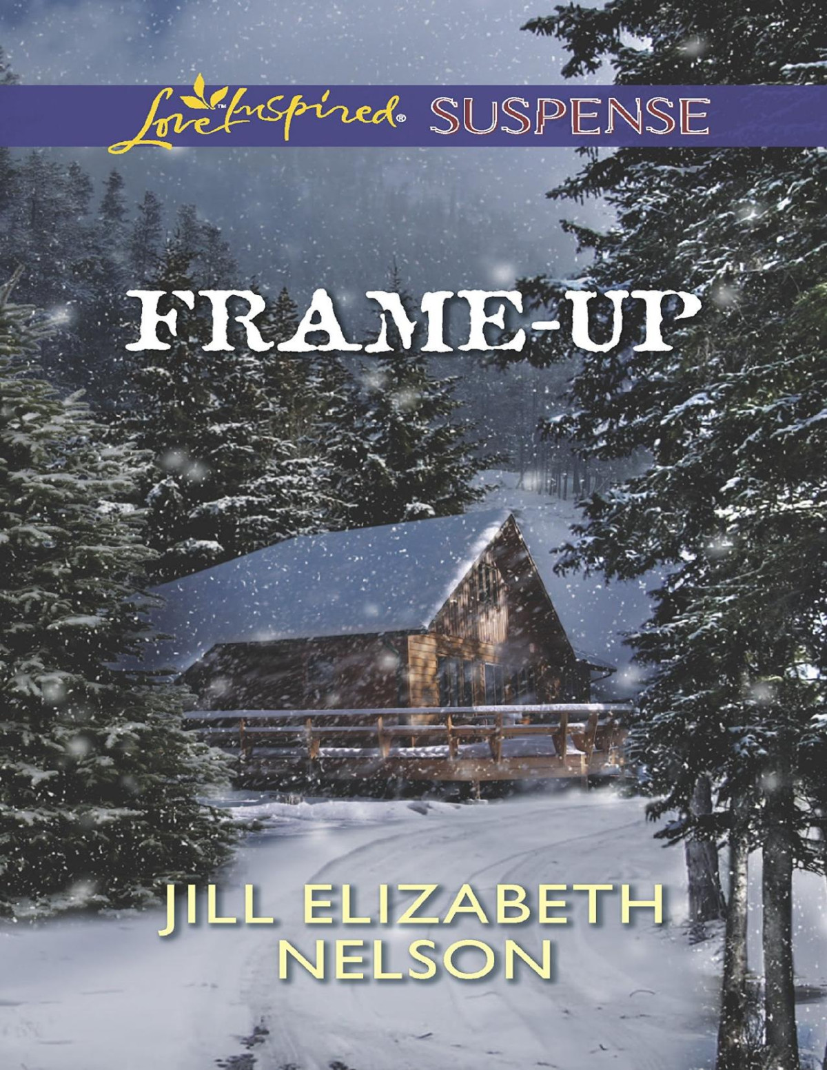 Frameup Jill Elizabeth Nelson Nelson Jill Elizabeth