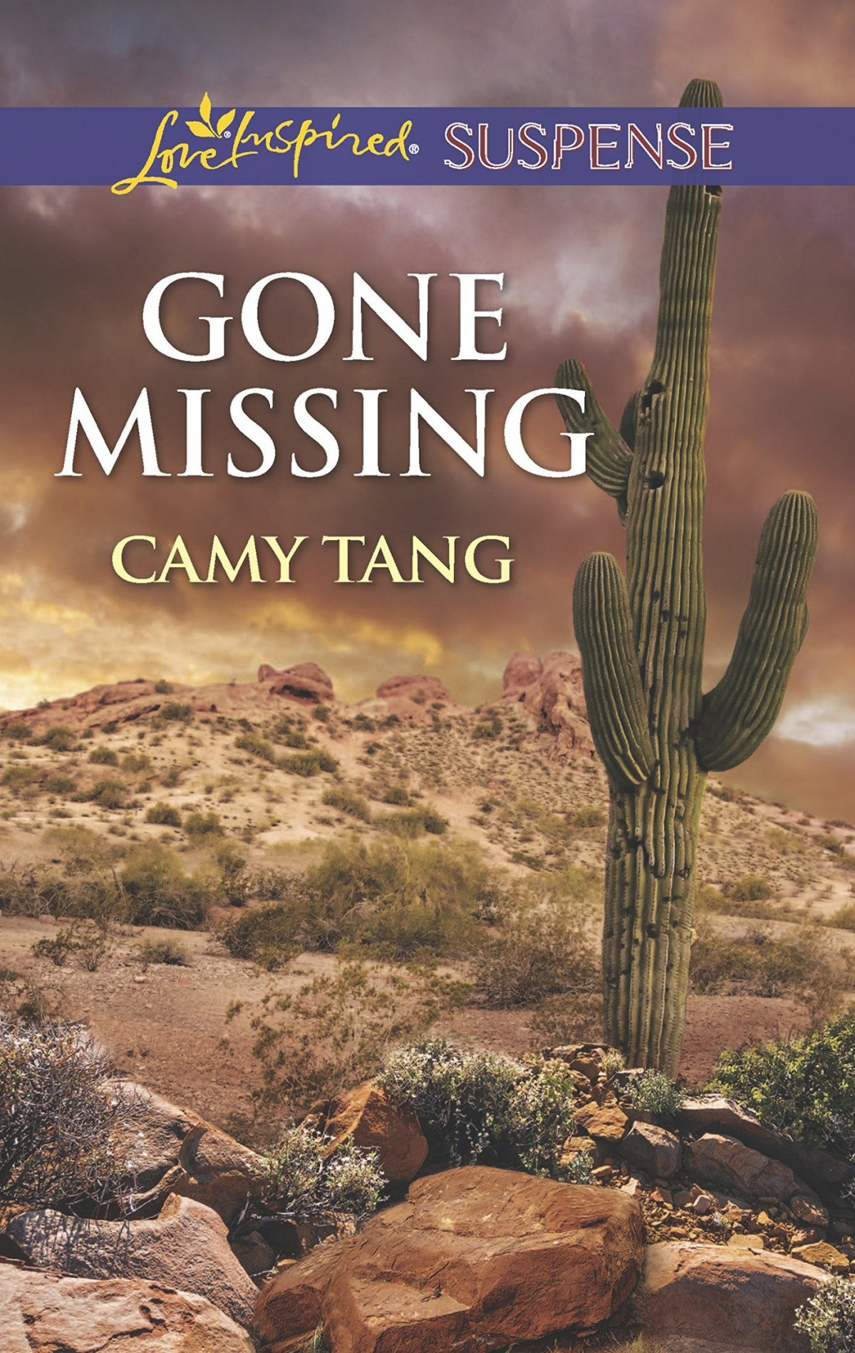 Gone Missing Camy Tang