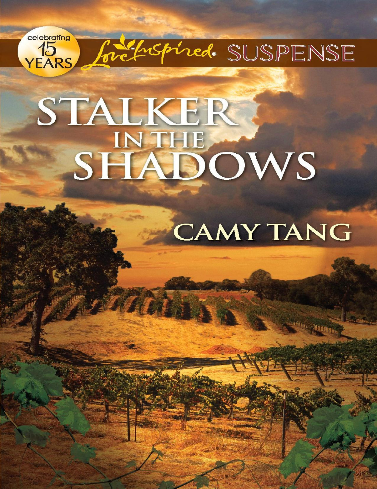Stalker In The Shadows Camy Tang