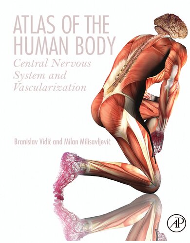Atlas Of The Human Body Central Nervous System And Vascularization Branislav Vidi Professor Of Anatomy Milan Milisavljevi Aleksandar Malikovi