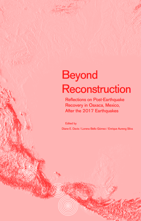Beyond Reconstruction Reflections On Postearthquake Recovery In Oaxaca Mexico After The 2017 Earthquakes Diane E Davis