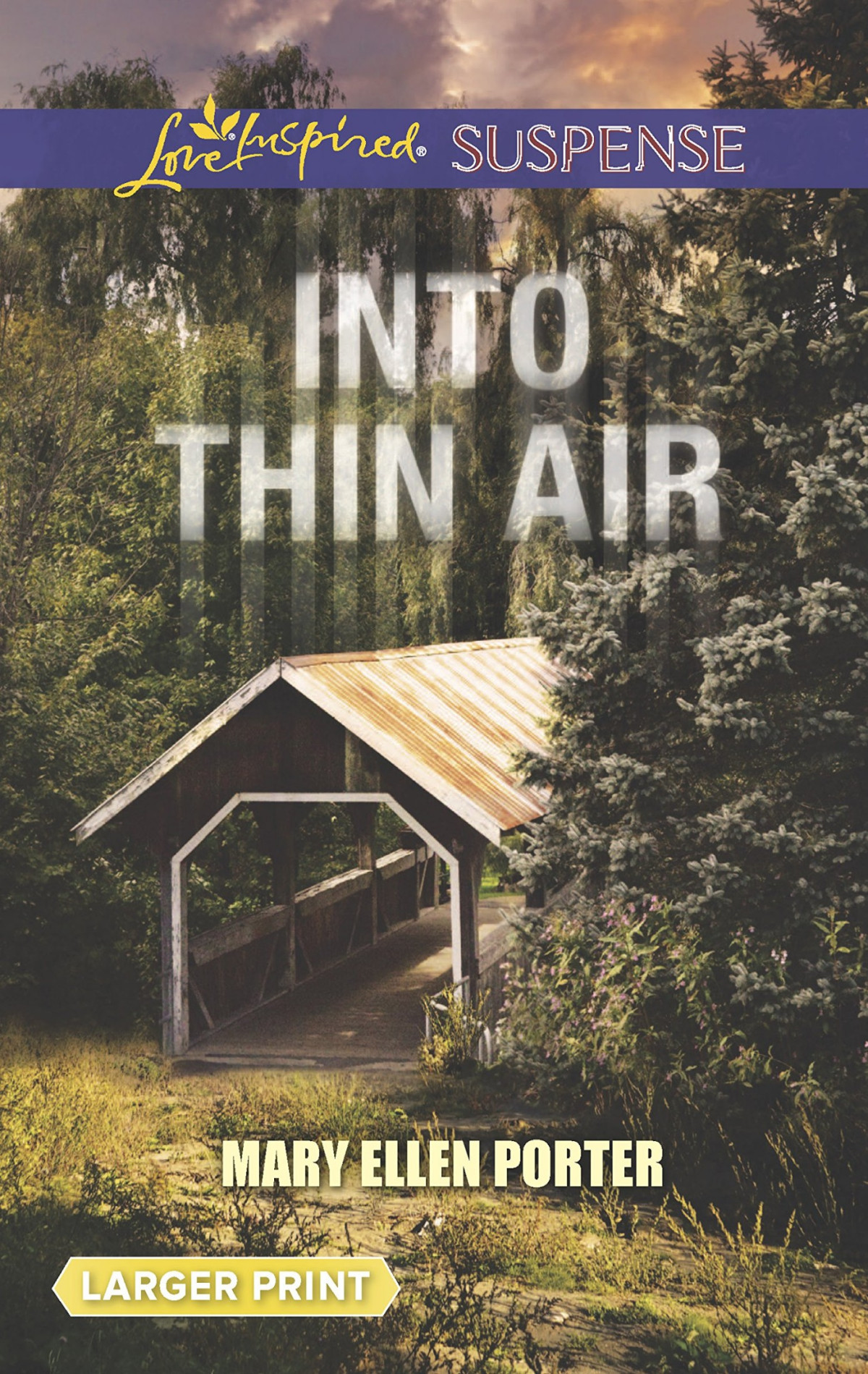 Into Thin Air Mary Ellen Porter Porter Mary Ellen