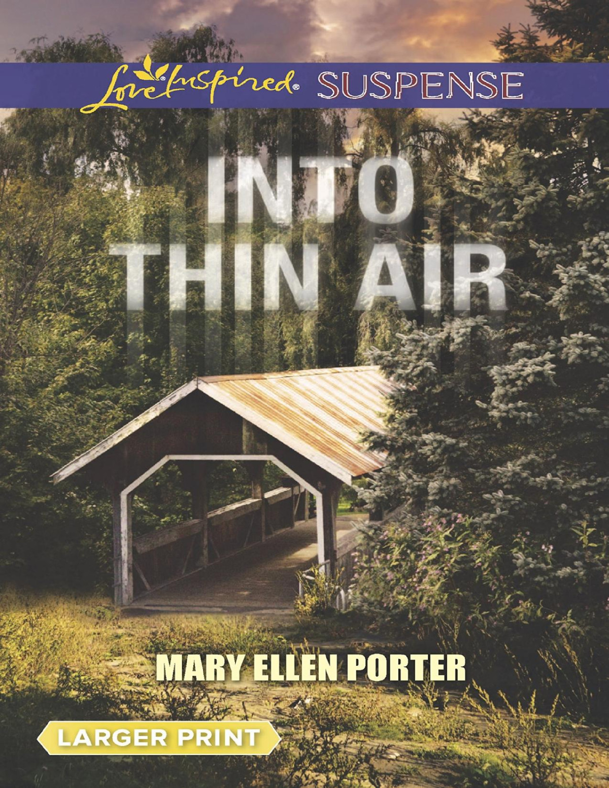 Into Thin Air Mary Ellen Porter Porter Mary Ellen