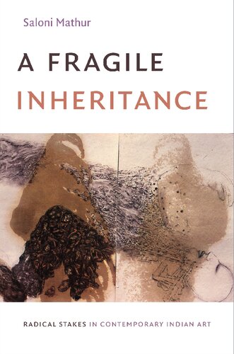 A Fragile Inheritance Radical Stakes In Contemporary Indian Art Saloni Mathur