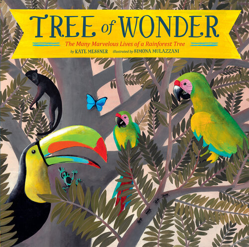 Tree Of Wonder Kate Messner