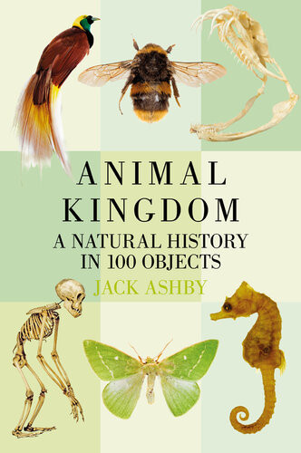 Animal Kingdom Jack Ashby