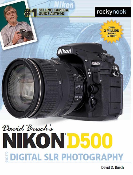 David Buschs Nikon D500 Guide To Digital Slr Photography David D Busch Busch