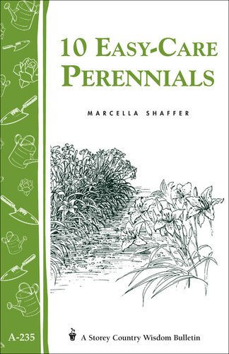10 Easycare Perennials Marcella Schaffer