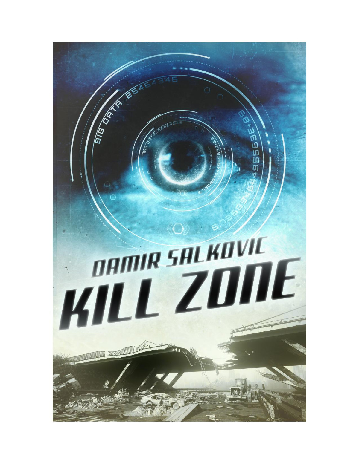 Kill Zone Damir Salkovic