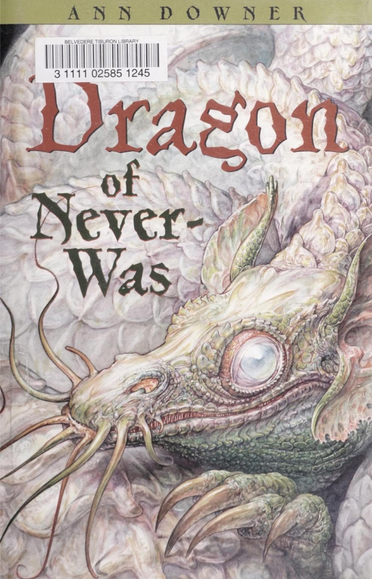 The Dragon Of Neverwas Ann Downer