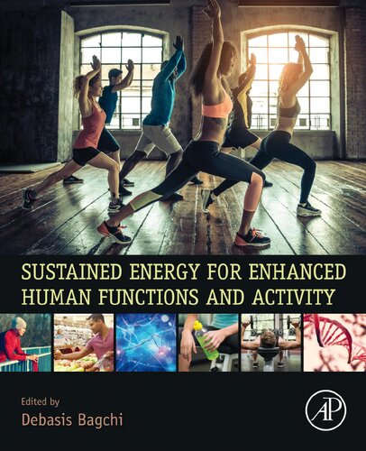 Sustained Energy For Enhanced Human Functions And Activity 1st Edition Debasis Bagchi Editor