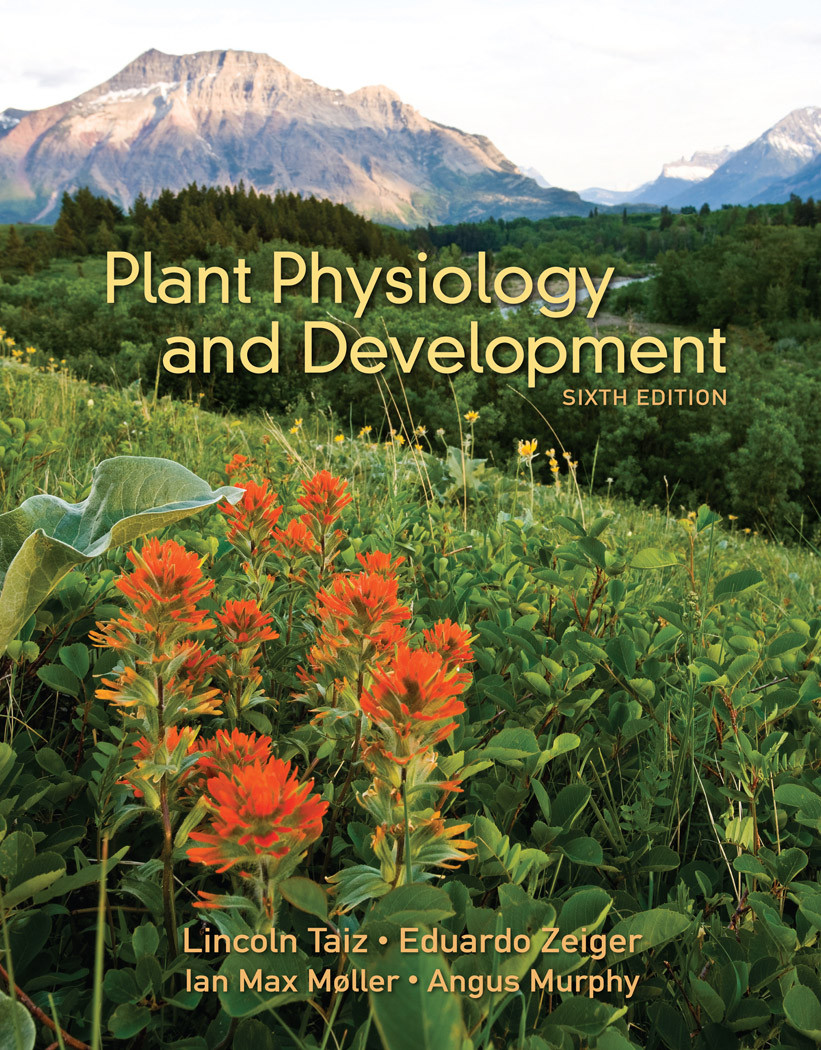 Plant Physiology Development 6th Lincoln Taiz Eduardo Zeiger Ian M Mller Angus Murphy
