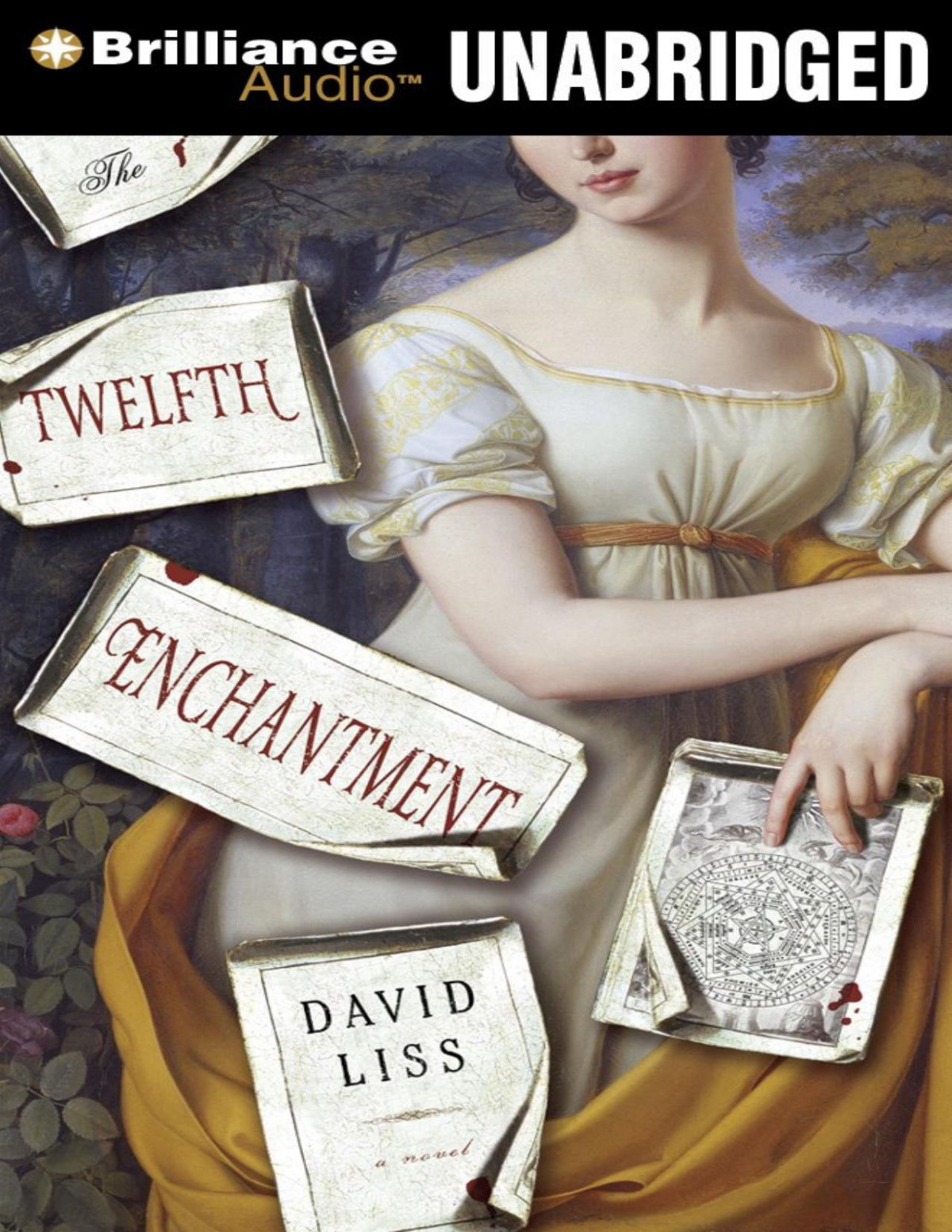 The Twelfth Enchantment David Liss Liss David