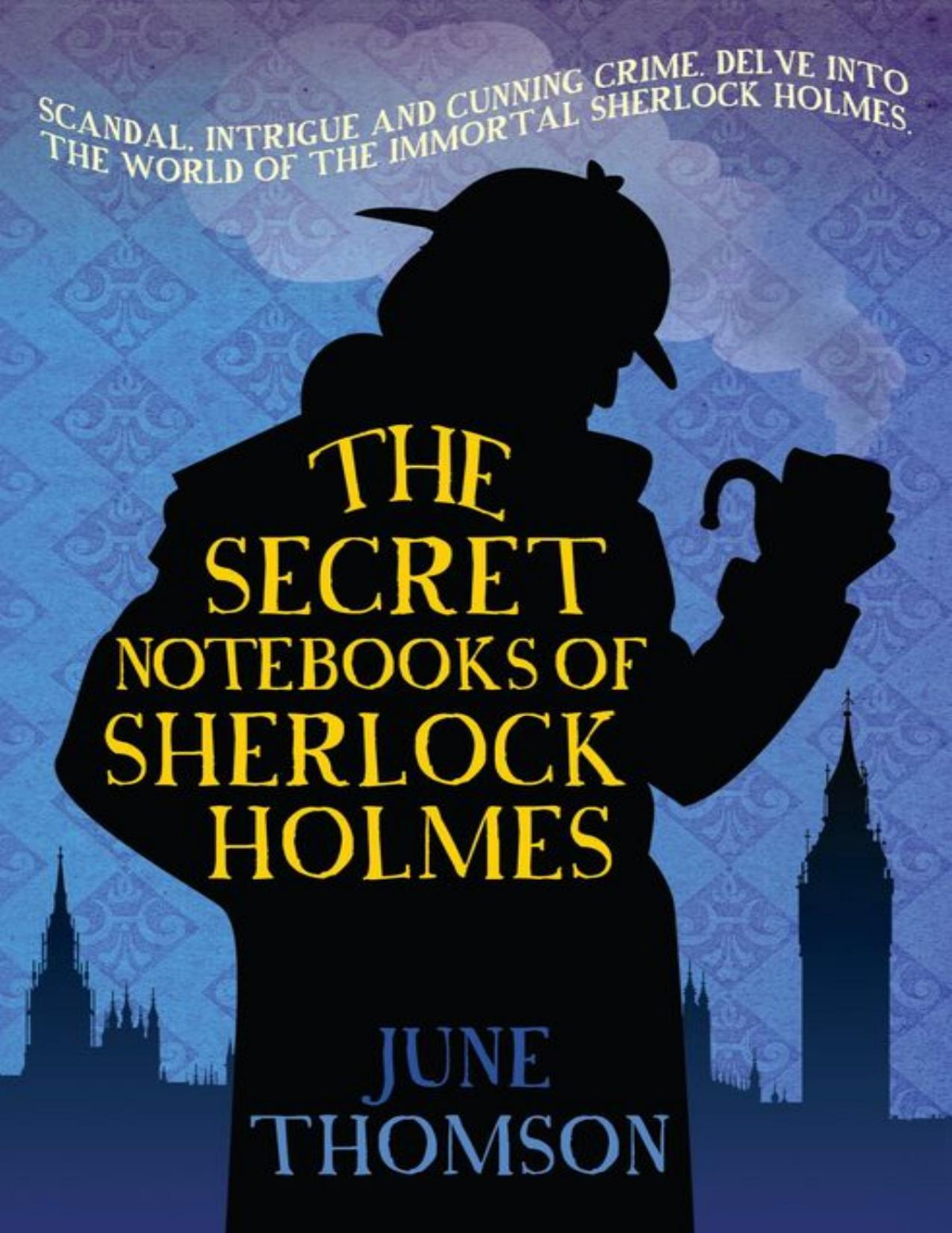 The Secret Notebooks Of Sherlock Holmes June Thomson Thomson