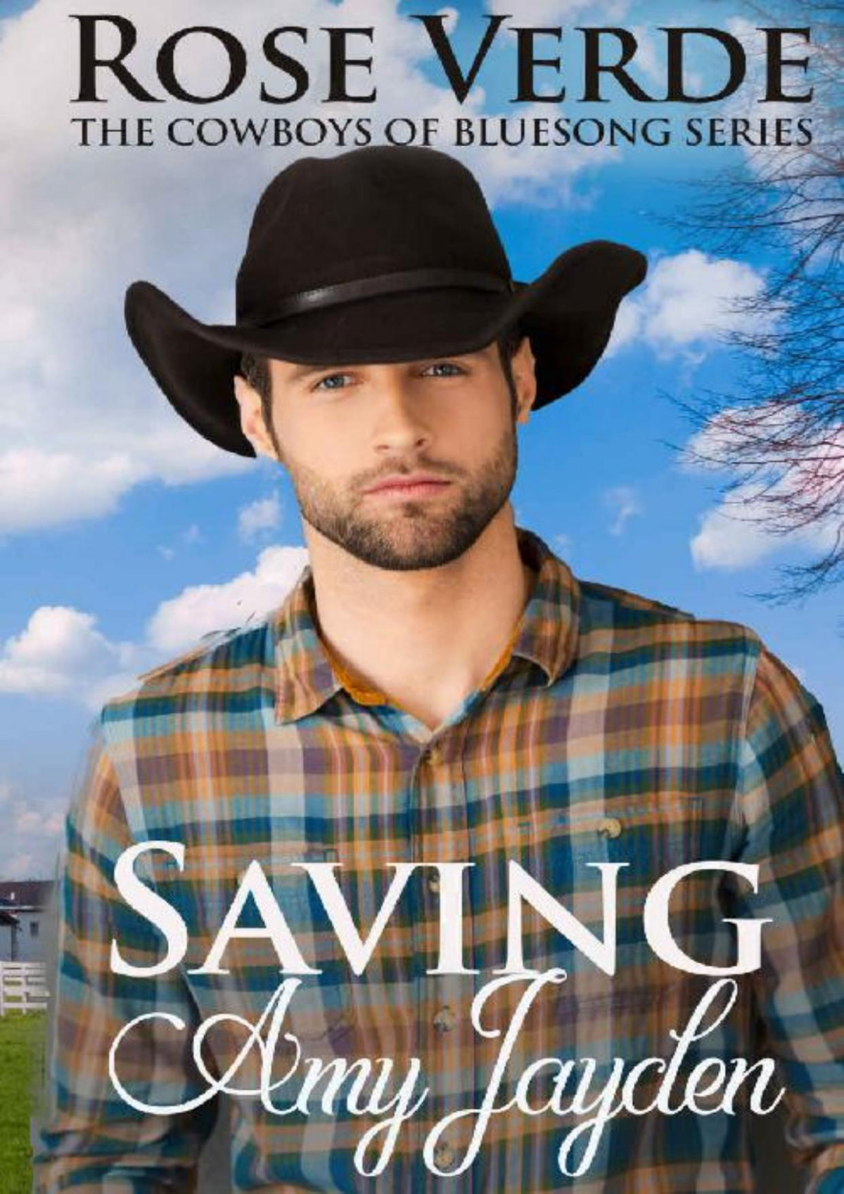 Saving Amy Jayden The Cowboys Of Bluesong Series Book 1 Rose Verde Verde